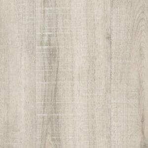 Mohawk SolidTech Eastbrook Valley Lamb's Ear 6"