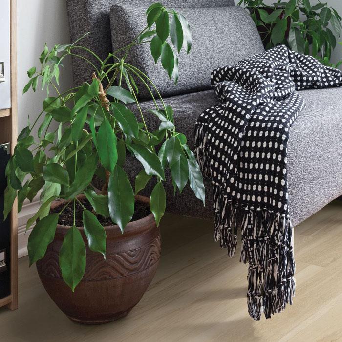 COREtec CT HD 7" x 48" Integrated Bevel Blended Cocoon - Image 2