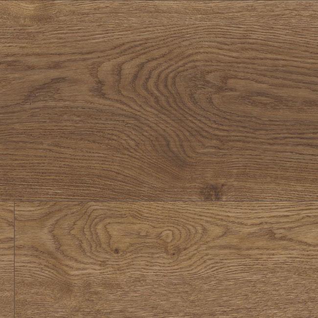 COREtec Plus Enhanced XL Arvon Oak