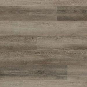 COREtec Plus Premium 9" Leisure Oak