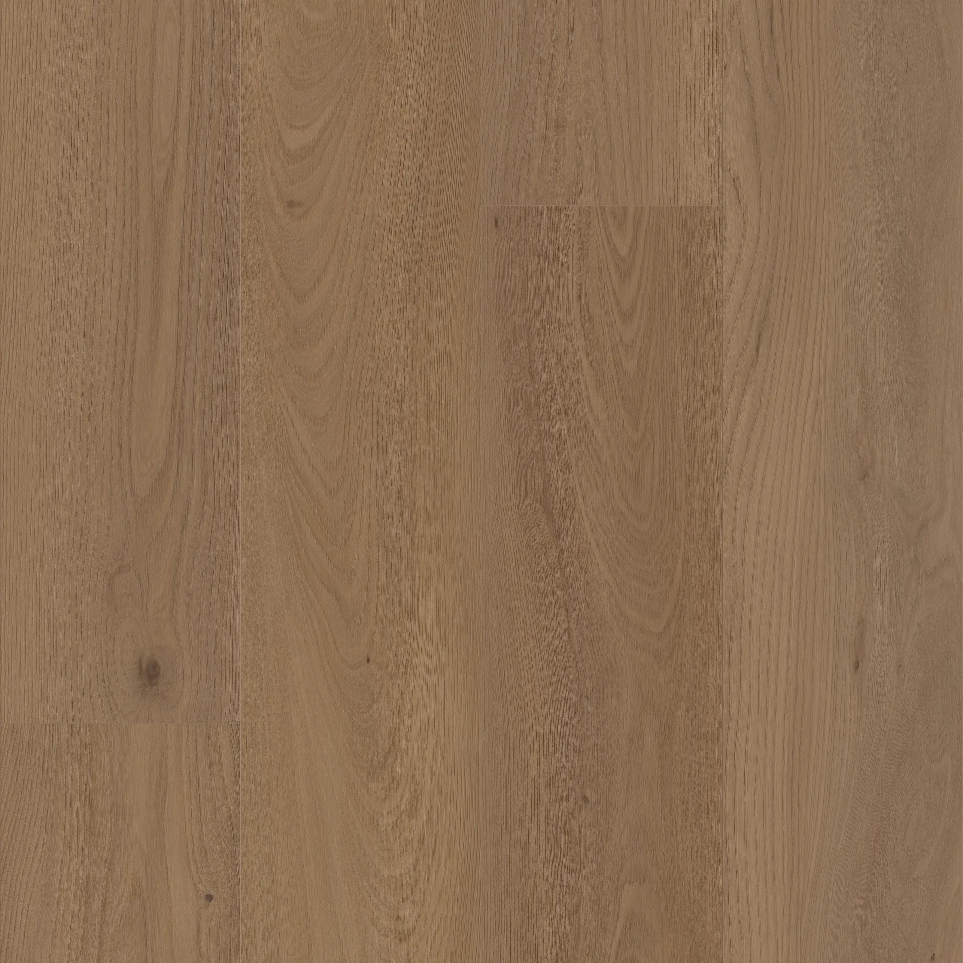 COREtec Pro Plus XL Enhanced 9" San Marino Elm