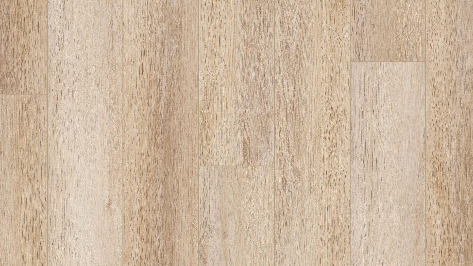 COREtec Pro Plus Enhanced 7" Aldergrove Oak