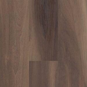 Shaw Floorte Pro Cathedral Oak 720c Plus Ravine Oak 9"