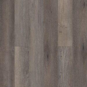 Shaw Floorte Pro Paragon 5" Plus Loft Pine 5"