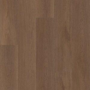 Shaw Floorte Ascent NB Legend 9"