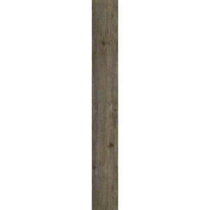 Shaw Mainstreet Commercial Bosk Tundra 6"