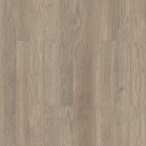Shaw Mainstreet Commercial Indwell 12 Willow Oak 7"