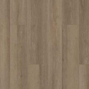 Shaw Mainstreet Commercial Indwell 20 Walnut Hill 7"