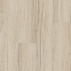 Shaw Mainstreet Commercial Rewild Vitalize 9"
