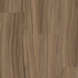 Shaw Mainstreet Commercial Rewild Delight 9"