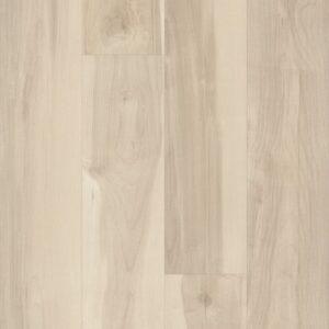 Shaw 5th And Main Symbiotic 12 Nova 6"
