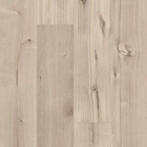 Shaw 5th And Main Symbiotic 12 Canvas 6"